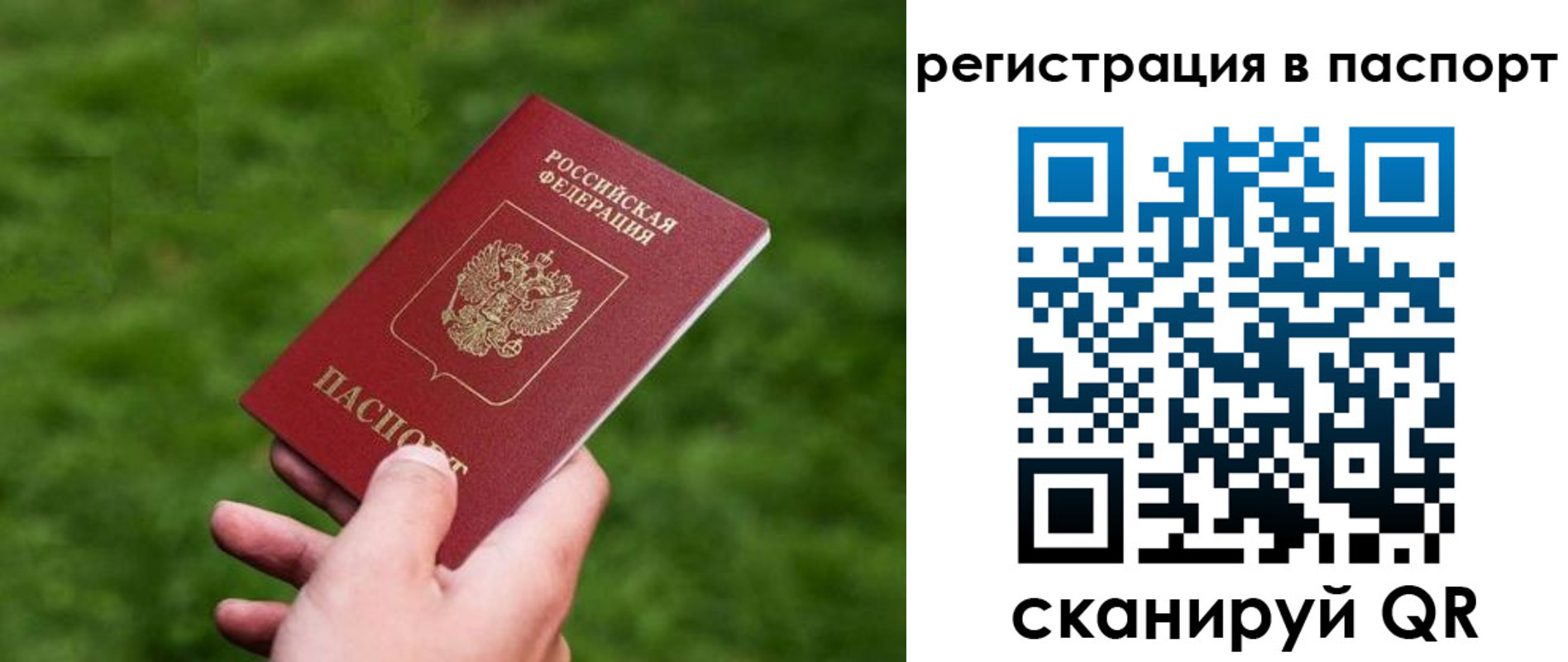 пропишу в квартире в Михайловске